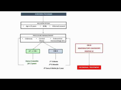 Clinical course of moderate cervical dysplasia in young women - Video abstract [69776]