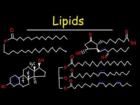 Lipids - Fatty Acids, Triglycerides, Phospholipids, Terpenes, Waxes, Eicosanoids