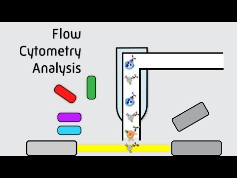 Flow Cytometry Analysis