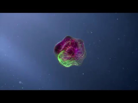 Flow Cytometry Animation