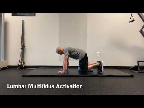 Lumbar Multifidus Activation