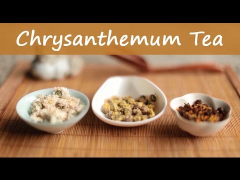 3 Types of Chinese Chrysanthemum Flower Tea by Teasenz