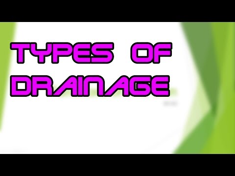 Types of Wound Drainage