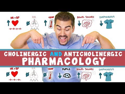 Cholinergic and Anticholinergic Pharmacology for Nursing Students