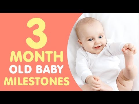 3 Months Old Baby Milestones