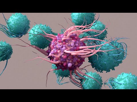 Dendritic Cells: The Regulators