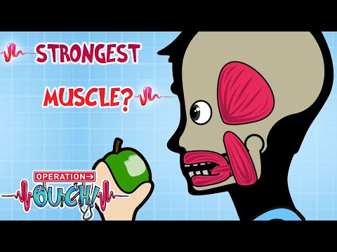 What Is the Strongest MUSCLE in Your Body? 💪 | Science for Kids | @OperationOuch