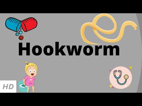 Hookworm, Causes, Signs and Symptoms, Diagnosis and Treatment.