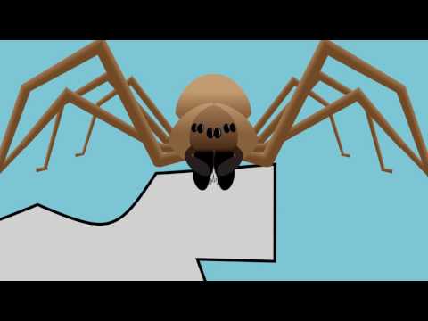 A Guide to Brown Recluse Spiders