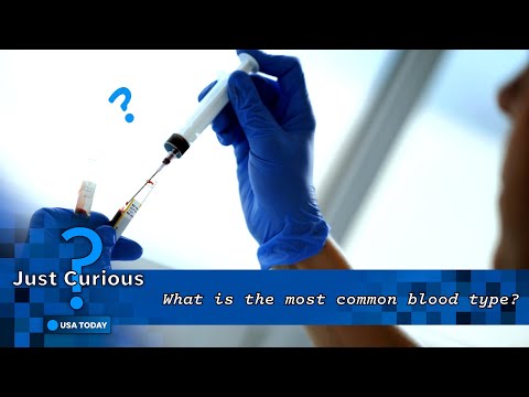 What is the most common blood type? Blood types, explained. | JUST CURIOUS