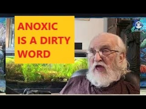 ANOXIC IS THE WRONG WORD - A FATHER FISH RANT