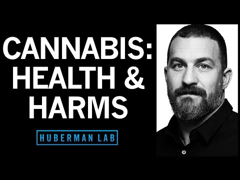 The Effects of Cannabis (Marijuana) on the Brain & Body | Huberman Lab Podcast #92