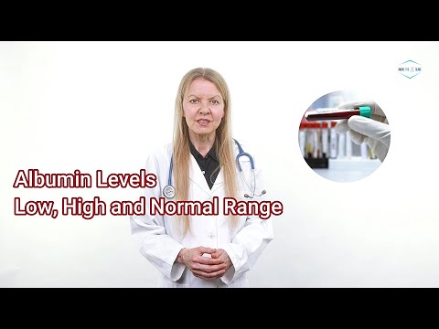 Albumin Levels - Low, High, Normal Range (Management)