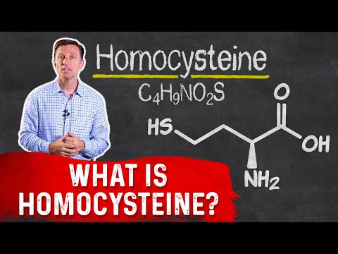 What Is Homocysteine? – Dr. Berg