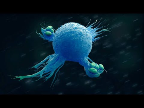 Macrophages: The Destroyers