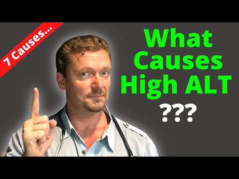 What Causes High ALT? (7 Common Causes of Elevated ALT)