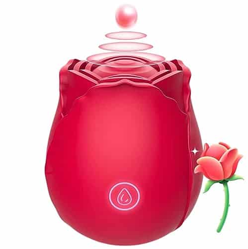 Rose Viboator For Women, Odes, Delivered Within Days   Red Rose Bf